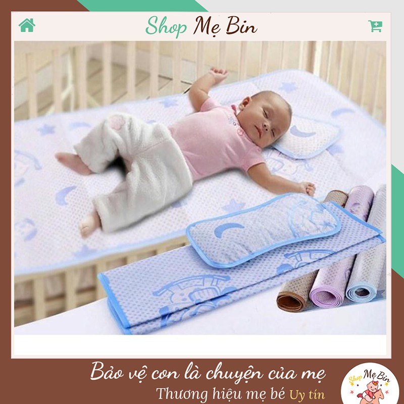 Chiếu Điều Hòa Chiếu Lụa Tặng Kèm Gối Thảo Dược