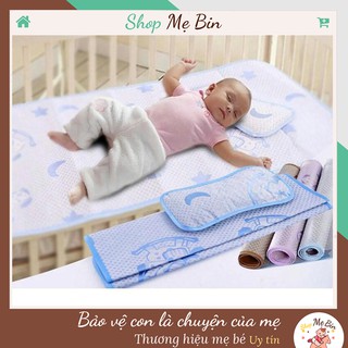 Chiếu điều hòa chiếu lụa tặng kèm gối thảo dược