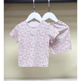 Bộ cotton cộc tay