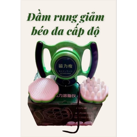 Đầm rung giảm béo 3 đầu thay dùng trong spa-TMV