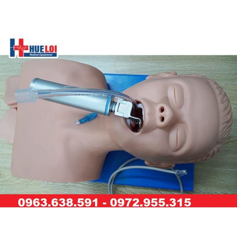 MÔ HÌNH THỰC HÀNH ĐẶT NỘI KHÍ QUẢN