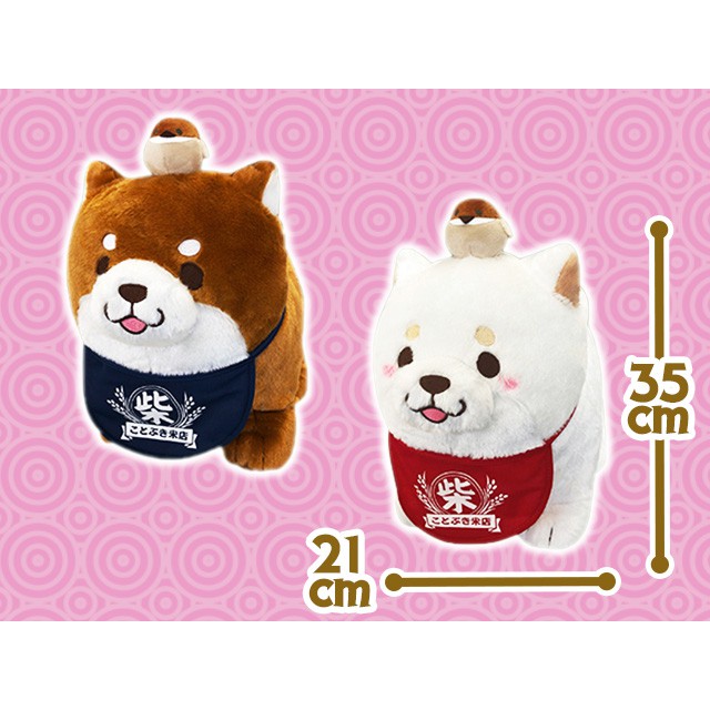 Mochi Shiba Together With Suzumesan Chính Hãng Gấu Bông Nhật SK Japan Sanrio Amuse Authentic