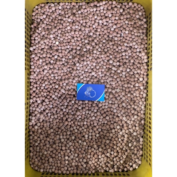 Sứ Lọc cho hồ cá Substrat Taiwan - Sứ Bi Đài Loan