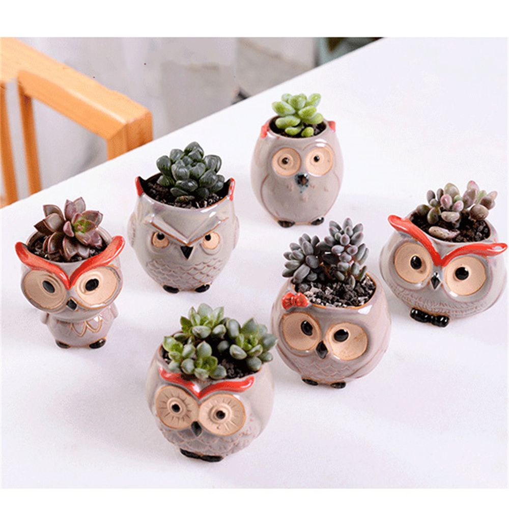 Chậu Cây Bằng Gốm Sứ Hình Cú Mèo Dễ Thương Dùng Trang Trí Nhà Cửa