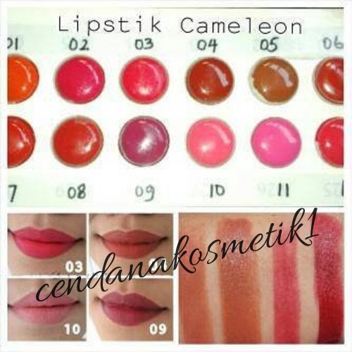 (Hàng Mới Về) Son Môi Lạc Đà Màu Sắc Tươi Tắn Quyến Rũ Cho Nữ | BigBuy360 - bigbuy360.vn