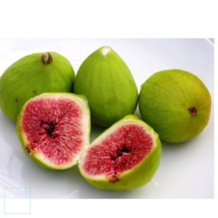 Quả Sung Khô thái lát 200gr