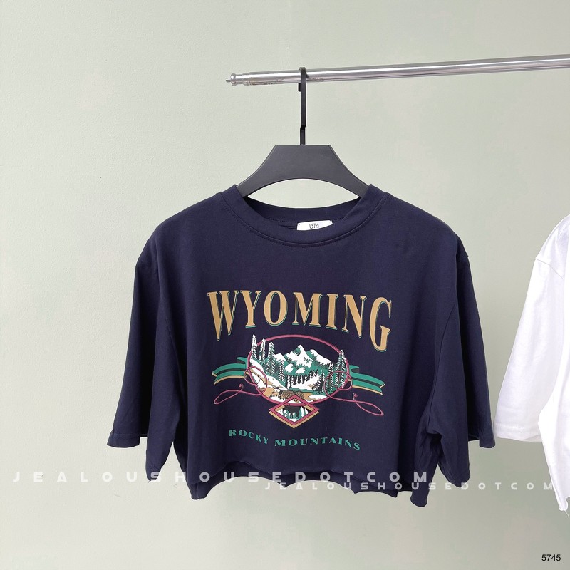 [Mã WASKT304 giảm 15% tối đa 30K đơn 99K] Áo croptop WYOMING 5745