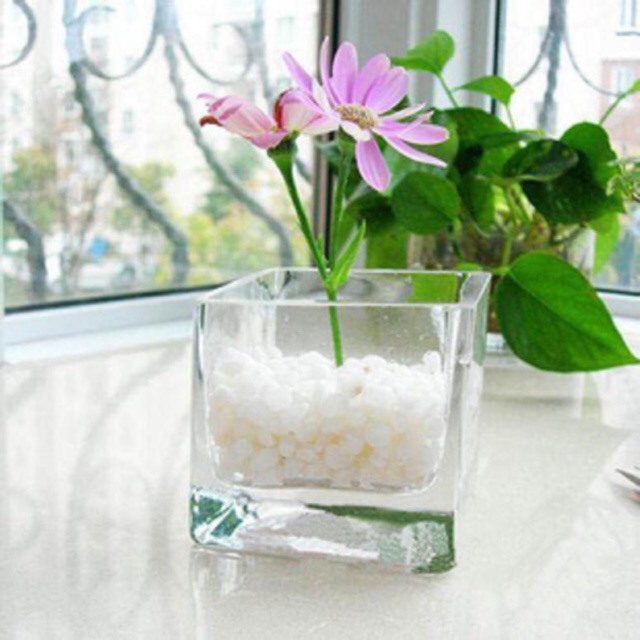 Bể cá, chậu hoa thủy tinh vuông