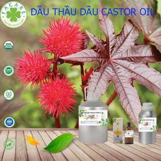 Dầu Thầu Dầu Castor Oil - 1000ml