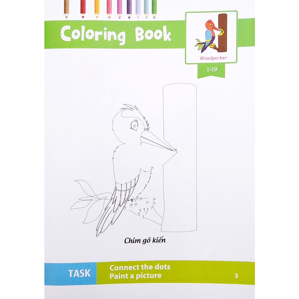 Sách Dot To Dot Coloring Book - Nối Số &amp; Tô Màu - Các Loài Chim