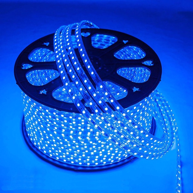 Dây led cuộn 100m 220v