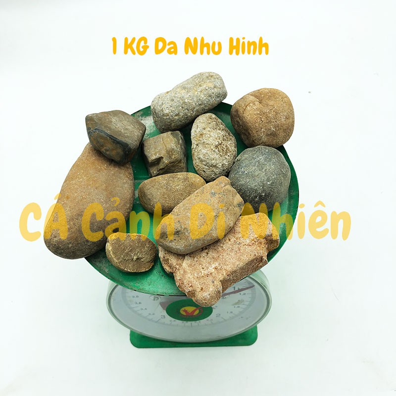 Sỏi đá cuội VÀNG 1KG nhiều màu viên trung trang trí tiểu cảnh hòn non bộ