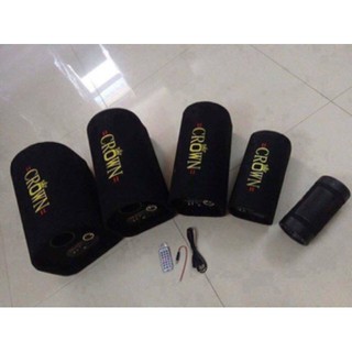 Loa crown cỡ 10 có bluetooth -13975