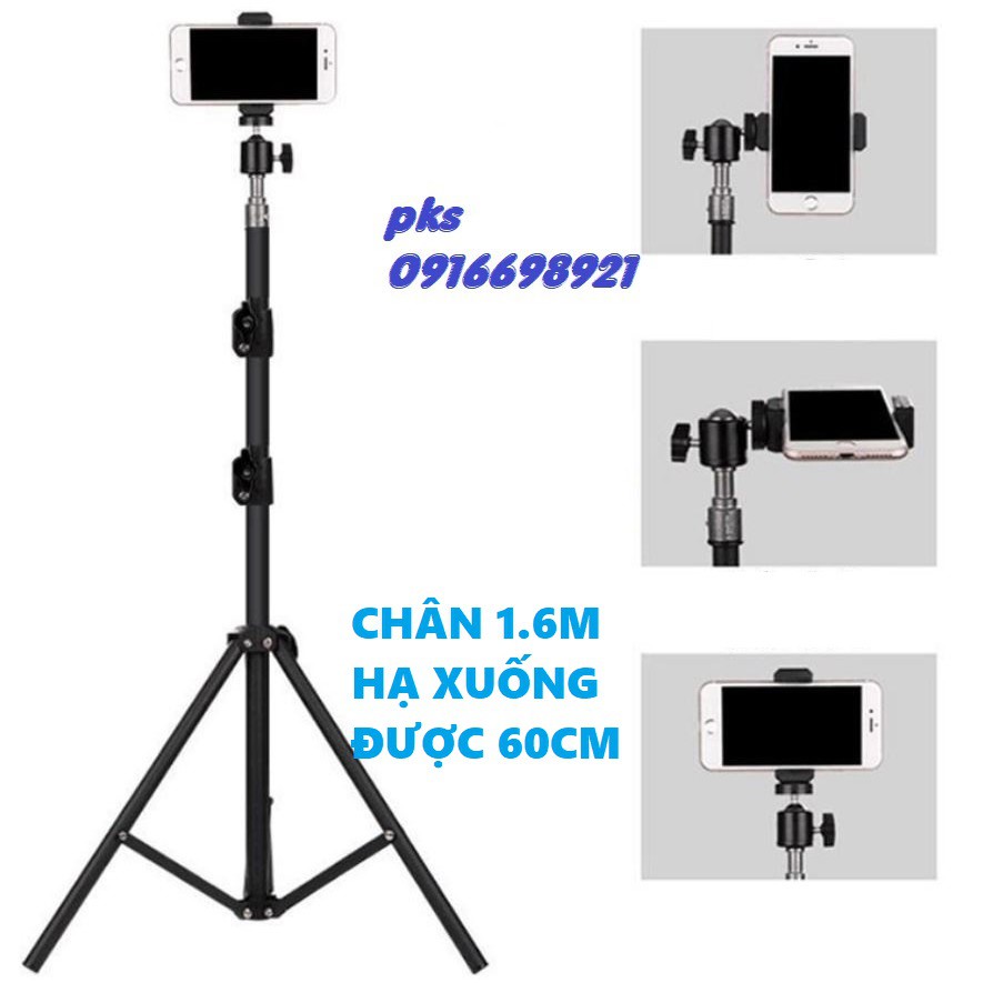 Cây QUAY 1.6M live tik tok livestream chân đứng bi cầu q29 kẹp điện thoại HẠ THẤP ĐƯỢC XUỐNG 60CM