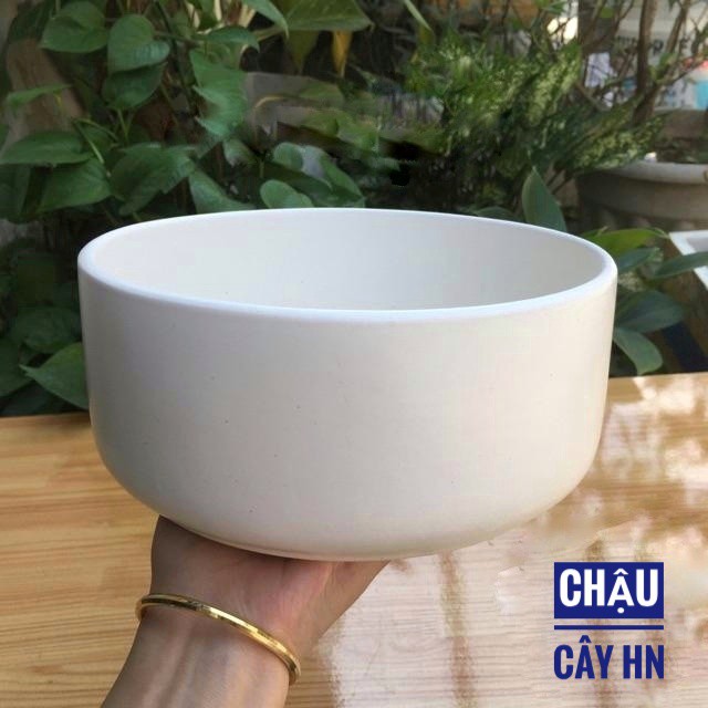 TẶNG KÈM( 200G ĐẤT TRỘN CAO CẤP) Chậu Sứ Trồng Cây Cảnh Mini, Sen đá, Xương rồng, Tiểu Cảnh Terrarium Hình Trụ Thấp