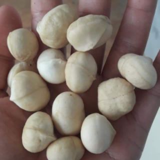 1 kg macca sấy