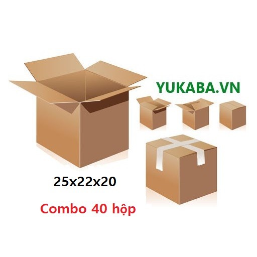 HL - Combo 40 hộp thùng carton 25x22x20