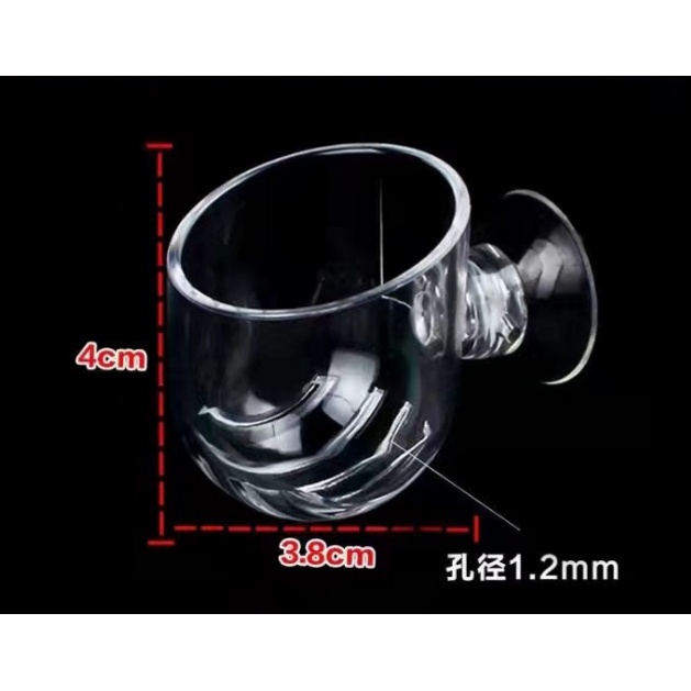 Cốc trồng cây mini cho hồ thủy sinh , trang trí bể thủy sinh
