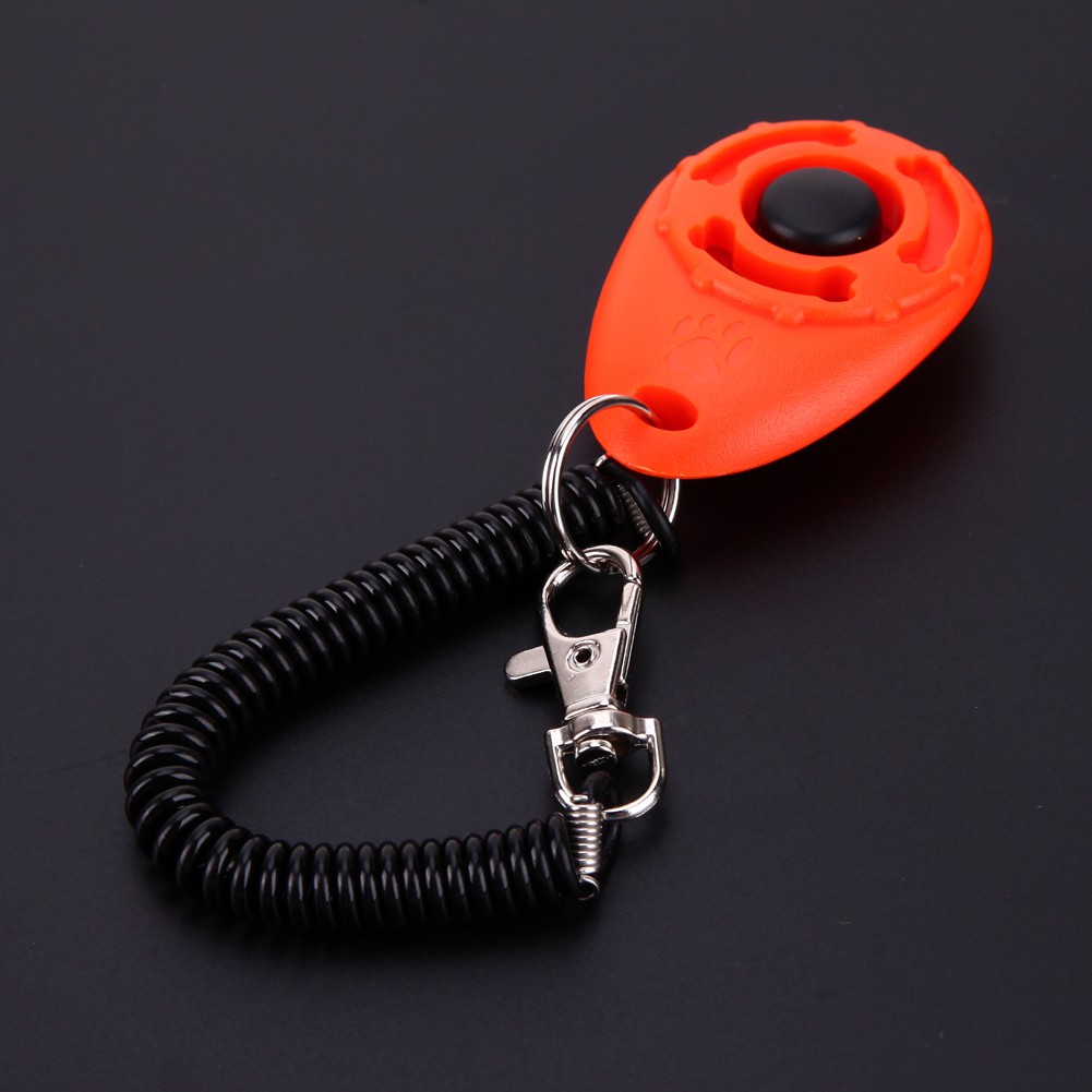 1 Cái Móc Khóa Huấn Luyện Chó Có Âm Thanh Điều Chỉnh