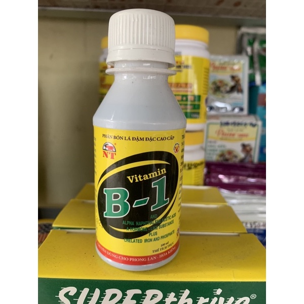 Lọ vitamin B1 100ml