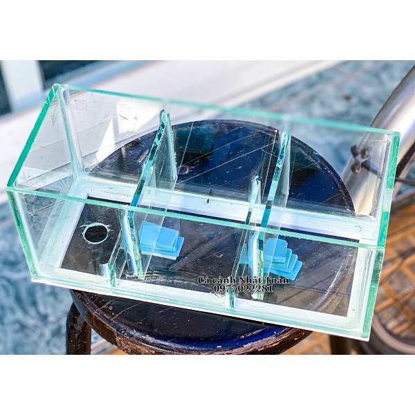 LỌC TRÀN TRÊN BỂ CÁ CẢNH 3 NGĂN 30X13X13CM