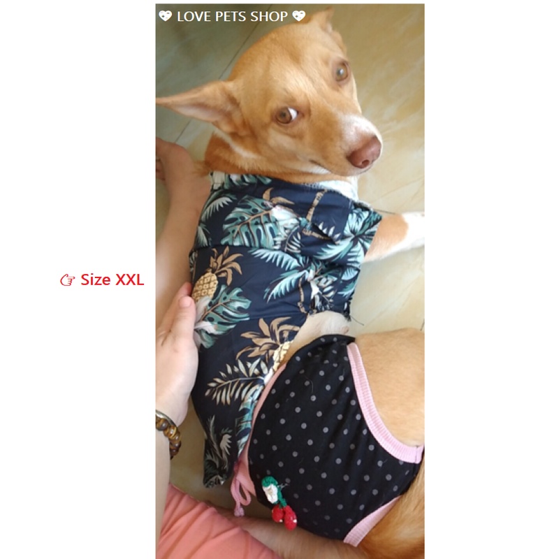 QUẦN CHIP CHO CHÓ MÈO, QUẦN SINH LÝ CHO CHÓ CÁI - LOVE PETS SHOP