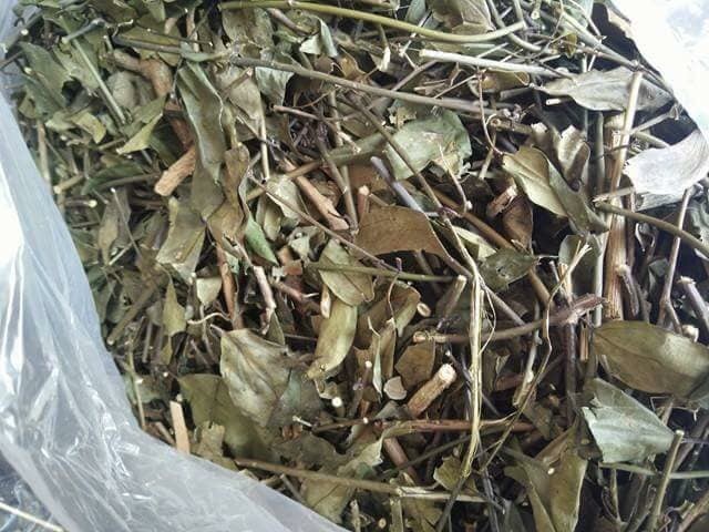 1kg lá chè vằng