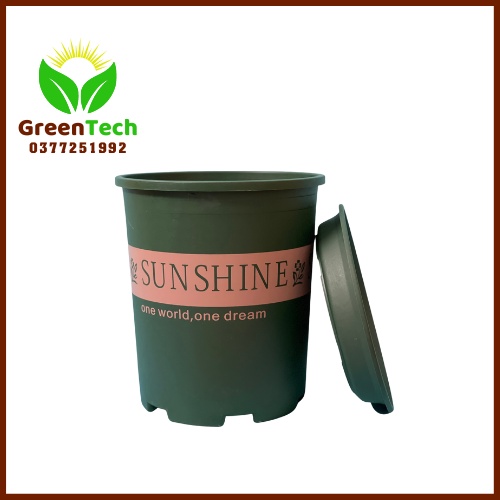 [ Giá Sỉ ] Chậu Nhựa SunShine Kèm Đĩa 6GL Nhập Khâu