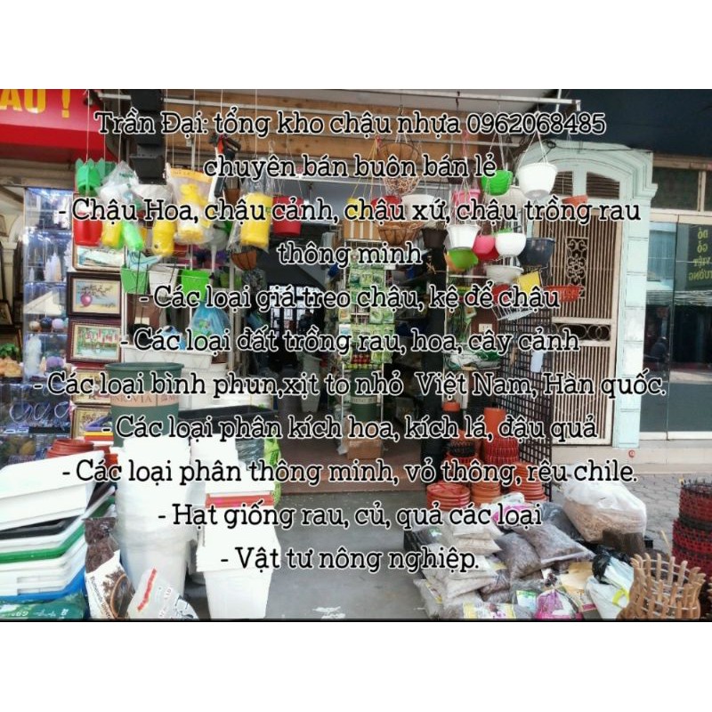 Vỉ nhựa trồng lan ( giá đỡ chậu lan)950cm*950cm