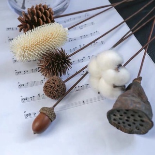 Cành hạt dẻ trang trí, cành dẻ khô giá rẻ