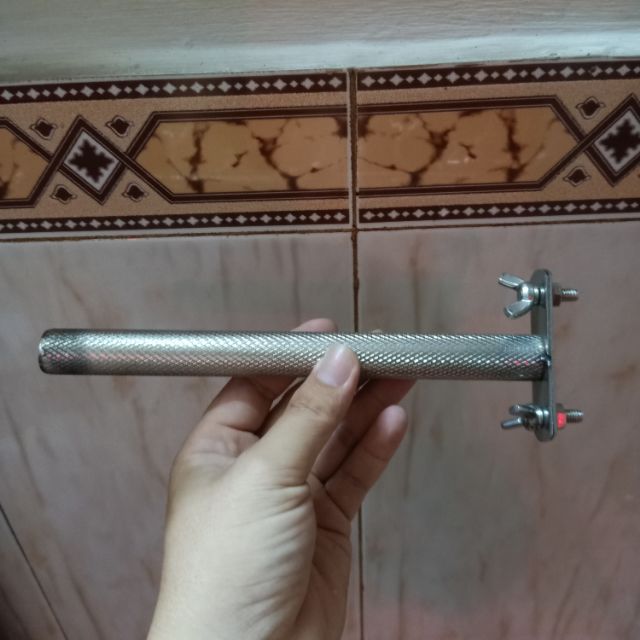 Cầu inox mài móng cho Vẹt