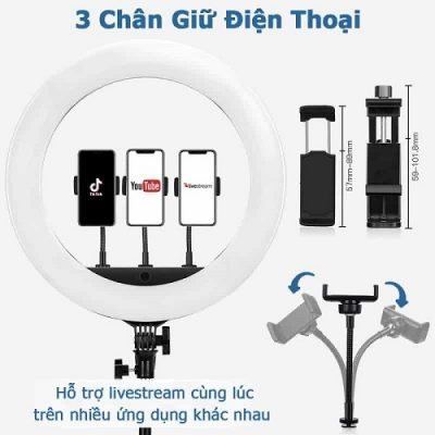 Bộ Đèn Led Livestream RL21 Size 54cm + Chân Đèn + 3 Kẹp Điện Thoại - Cực Chắc Chắn - Livesteam - Quay TikTok - Makeup