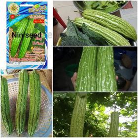 Hạt Giống Quả Mướp Đắng Khổng Lồ (Khổ Qua) - Nhập khẩu nguyên bao bì Thái
