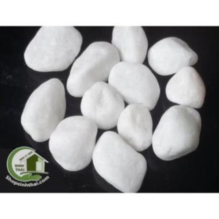 1kg đá sỏi màu trắng lớn - đá  trang trí trồng cây - trang trí bể cá - sân vườn