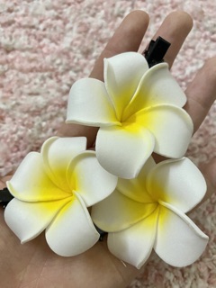 Kẹp tóc hoa sứ đi biển