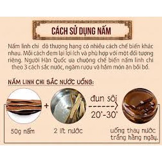 Nấm linh chi đỏ dạng khay Hàn Quốc