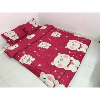Bộ Chăn Phao Ga Gối Poly Set 5 Món