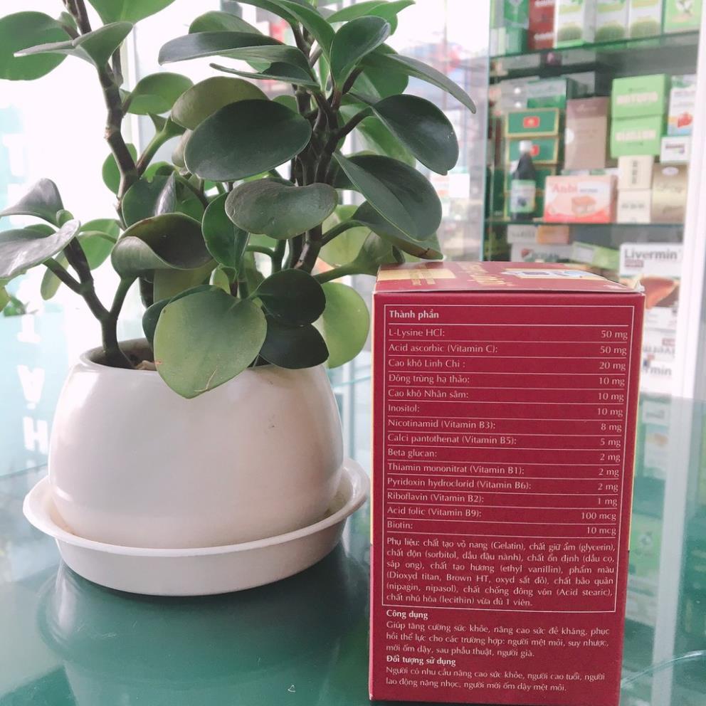 VITAMIN 8B WITH GINSENG + LINHZHI Isopharco - Hỗ trợ tăng sức đề kháng, phục hồi sức khỏe ốm dậy (100 viên)