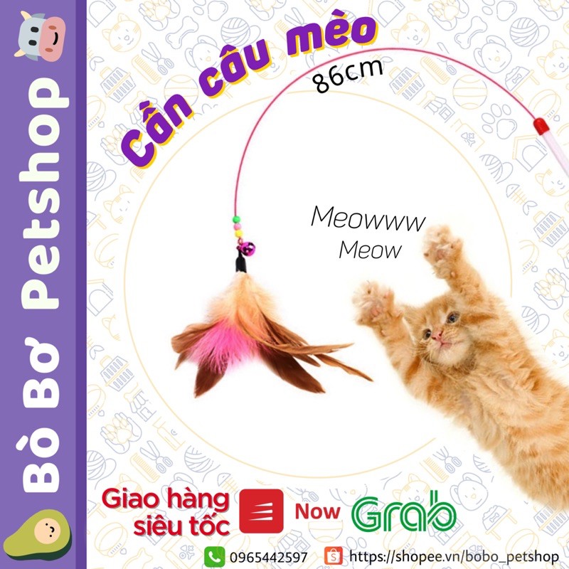 Gậy vờn mèo - Có chuông