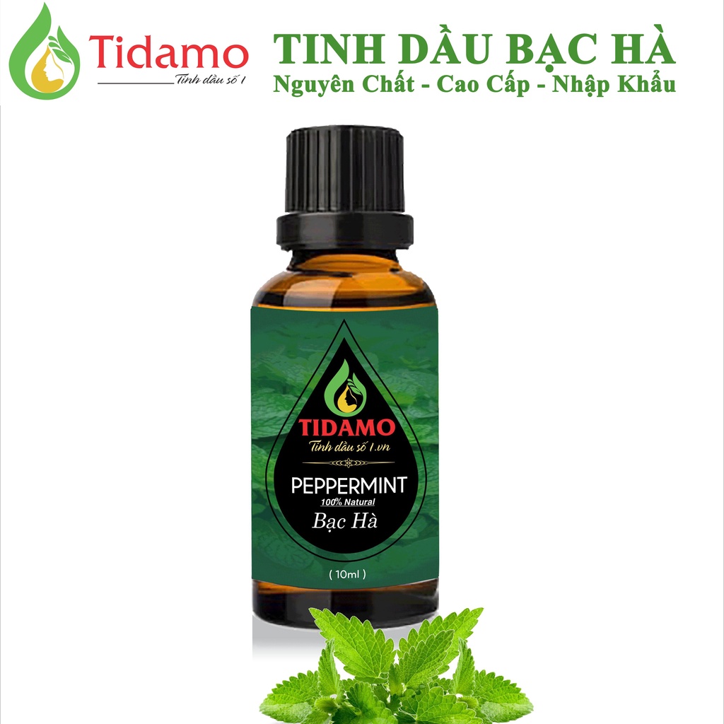 Combo 3 Tinh Dầu Oải Hương + Bạc Hà + Vỏ Quế Cao Cấp Nhập Khầu - Tinh Dầu Xông Phòng Giúp Thư Giản, Bảo Vệ Sức Khỏe