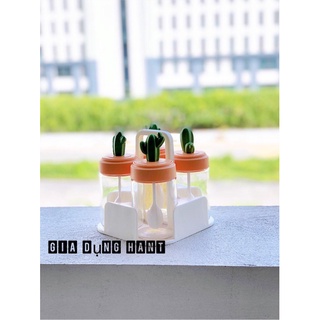 Set 4 Lọ đựng gia vị thủy tinh xương rồng cao cấp, hũ bột canh kèm muỗng thìa đẹp
