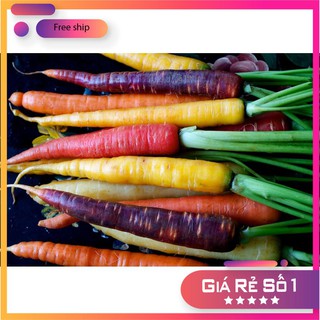 Hạt giống cà rốt nhiều màu ( 0.2 gr ) LUCKY.VN