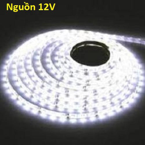 Cuộn Led dây dán 5m 5050 12v màu Trắng + Nguồn 12v + Jack cái