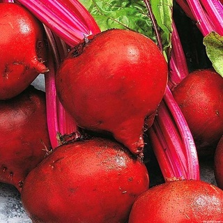 Hạt giống củ dền crimson globe , củ hình cầu, vỏ có màu đỏ đậm, thịt củ chắc màu đỏ đậm, củ nặng 200-300g