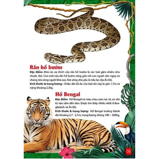 Sách - Khám Phá Động Vật 5 Châu - Châu Á
