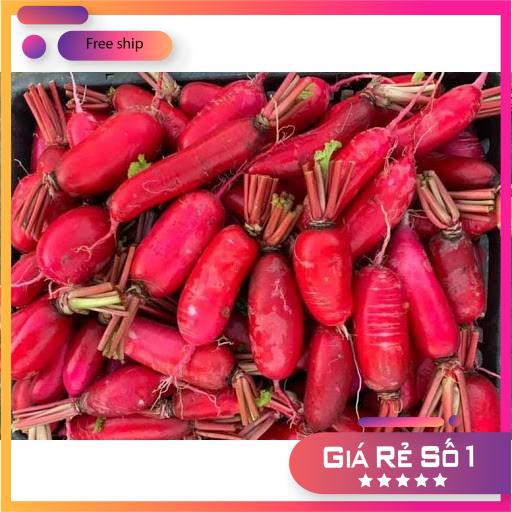 Hạt giống Củ Cải Đỏ Dài (20g)