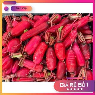 Hạt giống củ cải đỏ dài