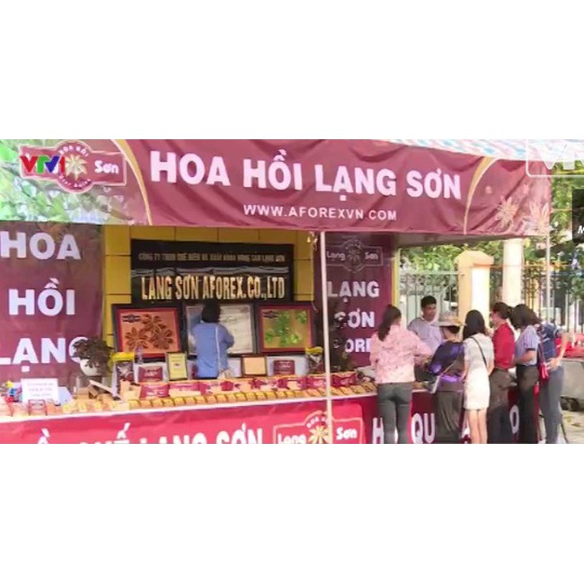 Hoa Hồi Lạng Sơn - Đại Hồi (loại chọn) 1Kg - [ ĐẶC SẢN - QUÀ BIẾU ]