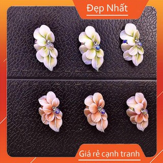 Hoa bột vẽ dán móng hoa ôm đá hàng vẽ sẳn