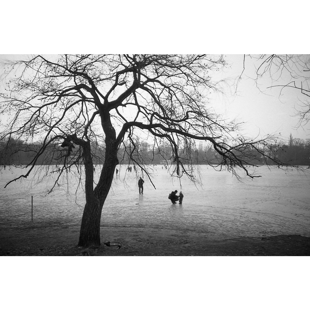 Phim Kentmere Pan ISO 100, Đen Trắng B&W, 135/35mm x 24 Kiểu, In Date Cho Máy Chụp Ảnh Film - LIIQ Flash